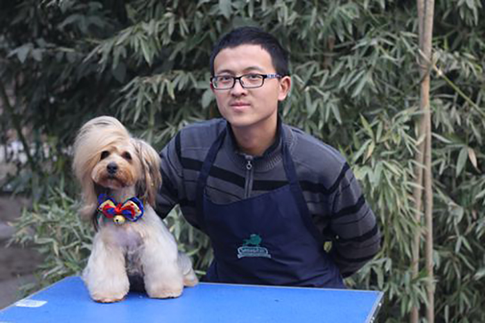 约克夏犬的创意造型