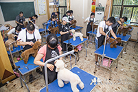牵手精灵宠物美容学校课堂实录