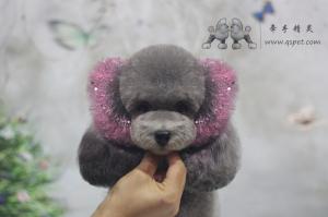 花生头造型5