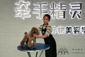 牵手精灵B级实操课